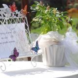 Propuestas, detalles y colores